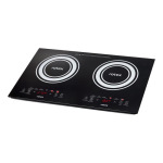 Rotex RIO250-G Duo - купити в інтернет-магазині Техностар
