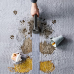 Rowenta IN3020F0 - купити в інтернет-магазині Техностар