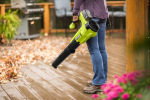 Ryobi 5133005411 - купити в інтернет-магазині Техностар