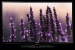 Samsung UE32H5303 - купити в інтернет-магазині Техностар