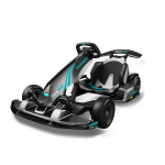 Segway-Ninebot AA.04.04.01.0004 - купити в інтернет-магазині Техностар