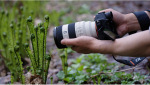 Sony 70-200mm, f/4.0 G OSS II для камер NEX FF (SEL70200G2.SYX) - купити в інтернет-магазині Техностар