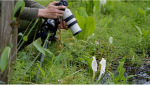 Sony 70-200mm, f/4.0 G OSS II для камер NEX FF (SEL70200G2.SYX) - купити в інтернет-магазині Техностар