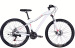 AL 27.5 ALPINA DD FR рама-16