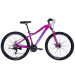 AL 27.5 ALPINA DD FR рама-16
